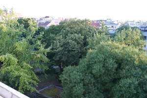 Schattiger Park gegenüber von oben vom Fenster aus gesehen